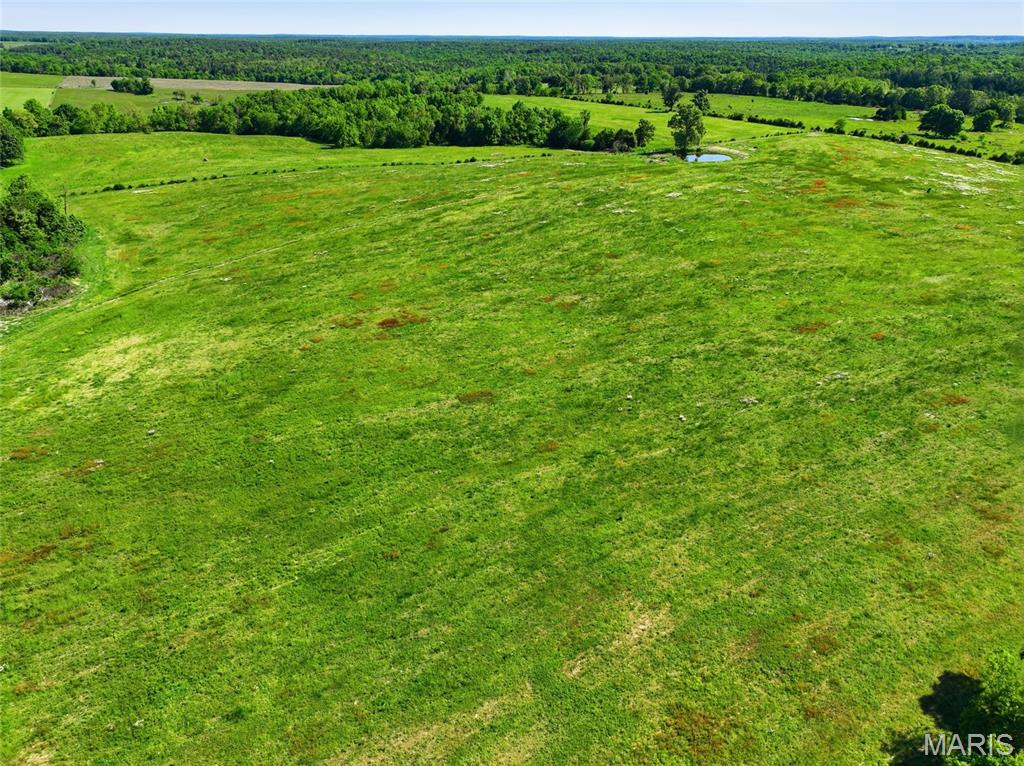 9290 Burton Branch Road Property Photo 29