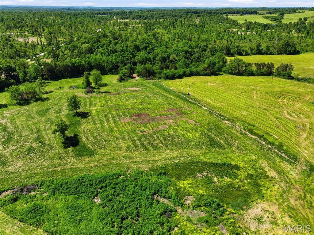 9290 Burton Branch Road Property Photo 31