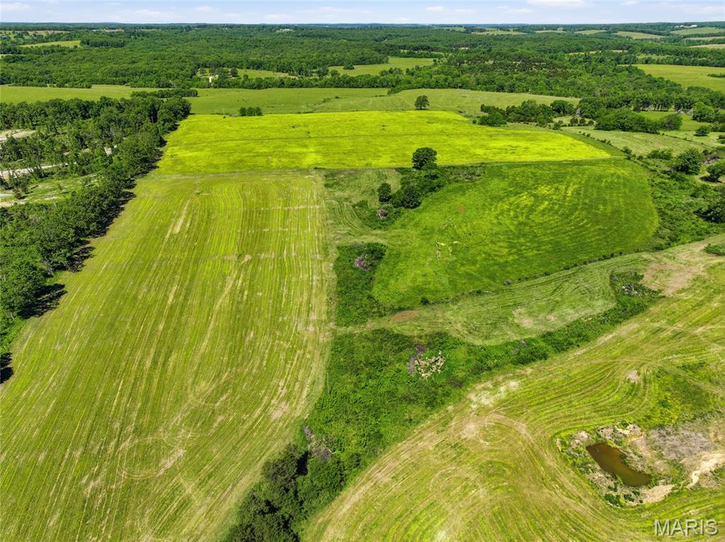 9290 Burton Branch Road Property Photo 33