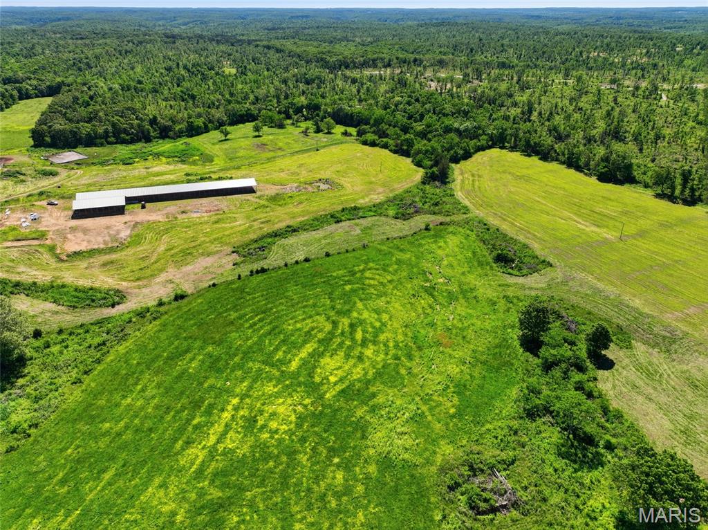 9290 Burton Branch Road Property Photo 37