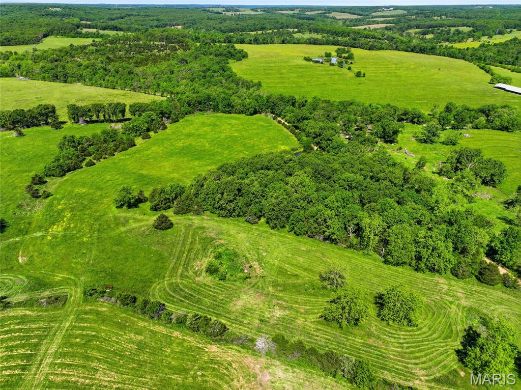 9290 Burton Branch Road Property Photo 39