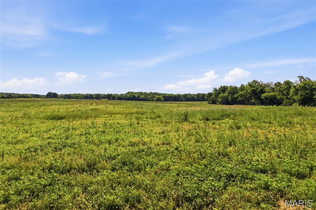 9290 Burton Branch Road Property Photo 52