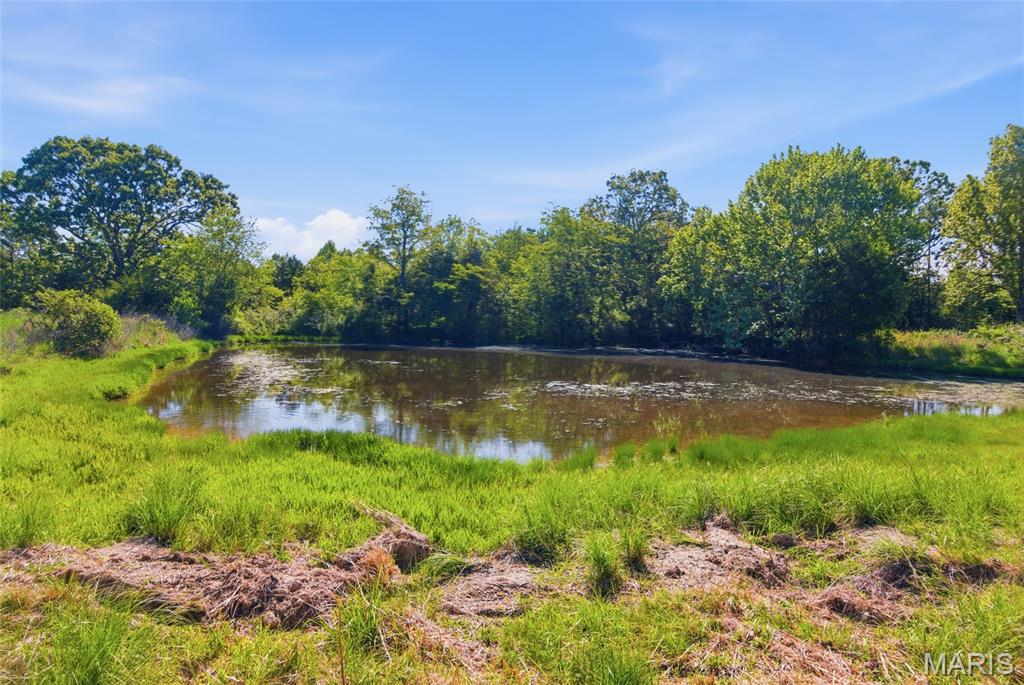 9290 Burton Branch Road Property Photo 55