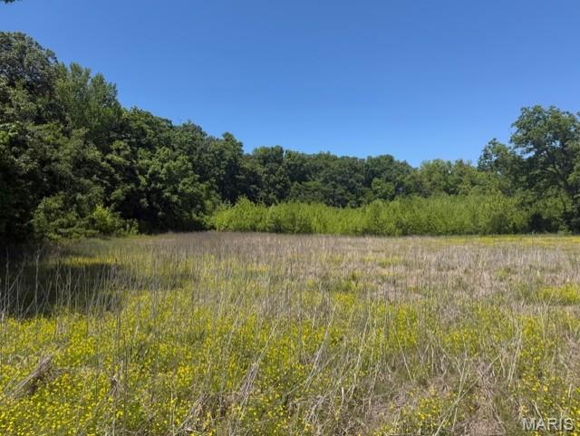 1775 County Road 575 Property Photo 3
