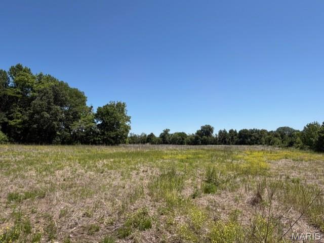 1775 County Road 575 Property Photo 4