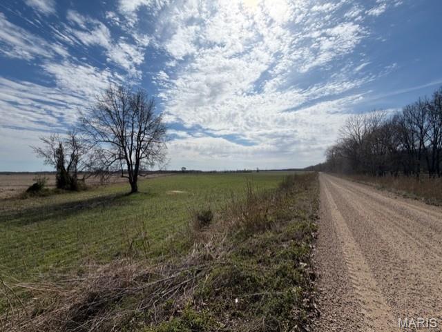 1775 County Road 575 Property Photo 5