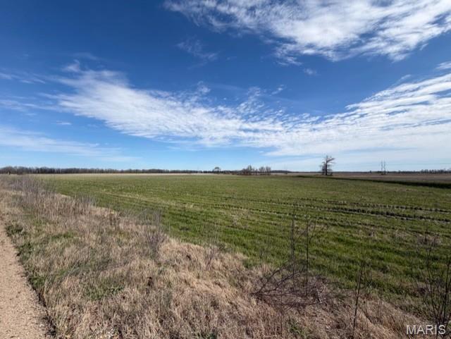 1775 County Road 575 Property Photo 6