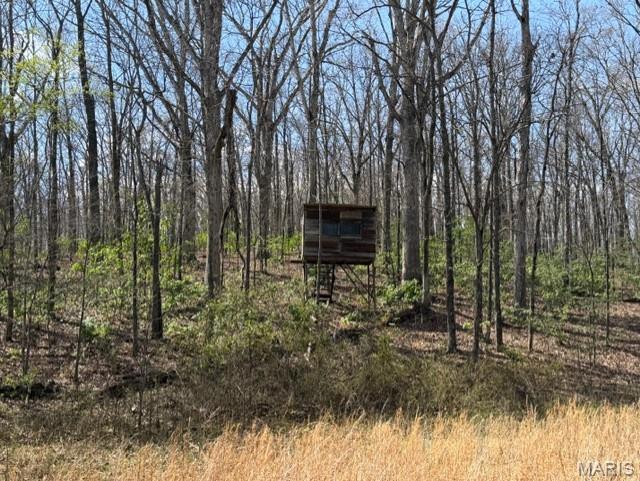 1775 County Road 575 Property Photo 8