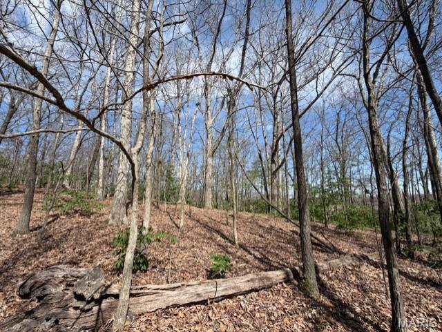 1775 County Road 575 Property Photo 9