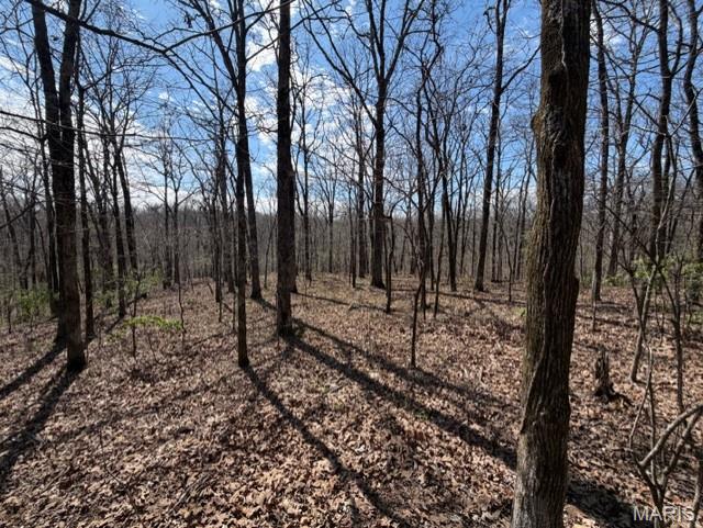 1775 County Road 575 Property Photo 10