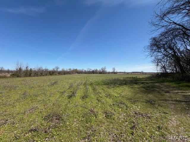 1775 County Road 575 Property Photo 12