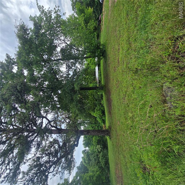 4109 Black Berry Manor Property Photo 1