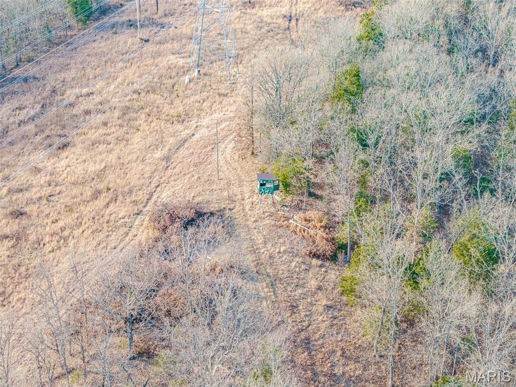 2478 Fowler Road Property Photo 5