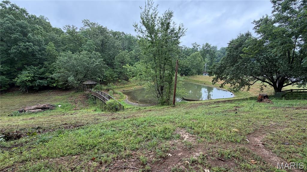 19 Fox Dr. Property Photo 64