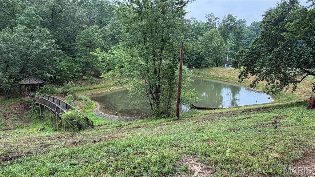 19 Fox Dr. Property Photo 65