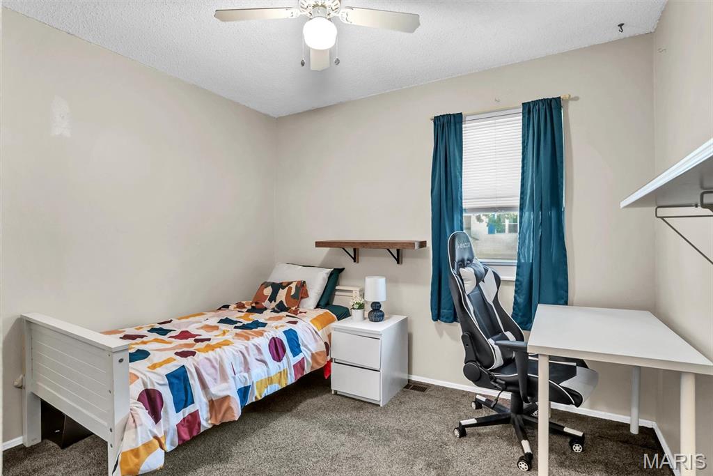 21 Muir Street Property Photo 16