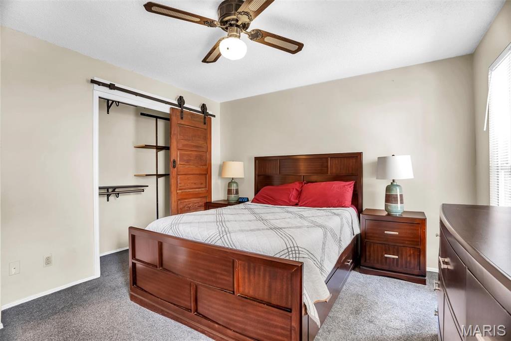 21 Muir Street Property Photo 18