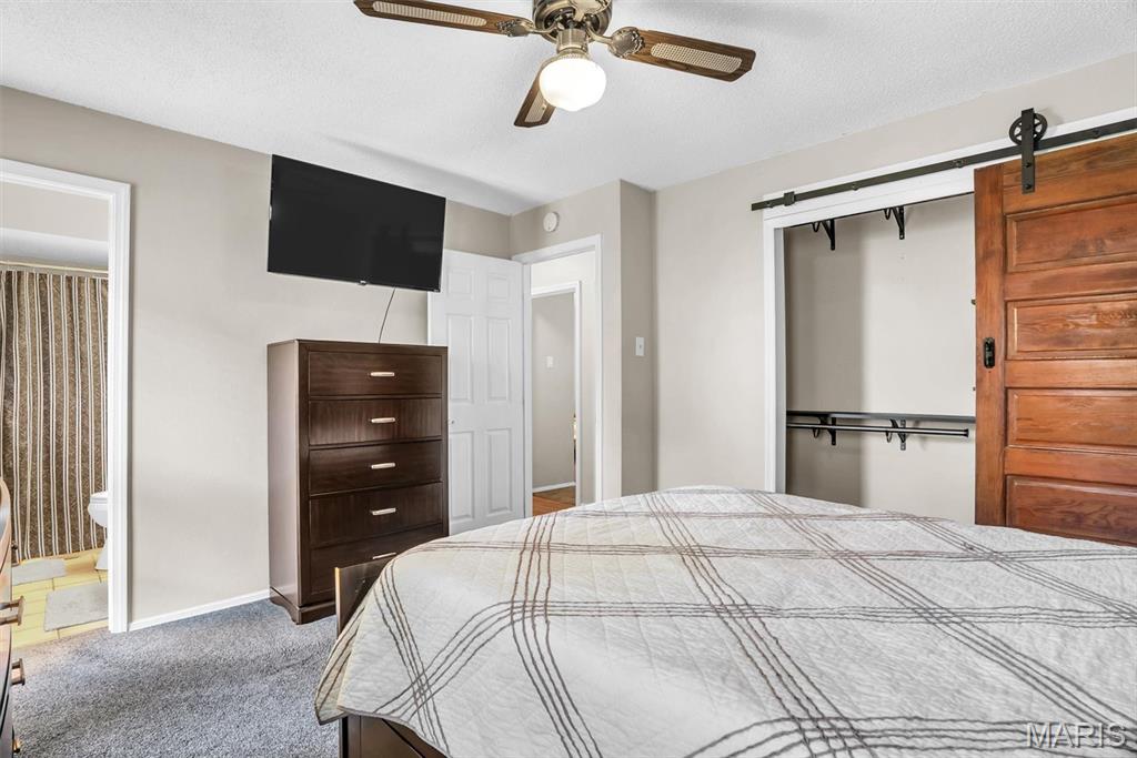 21 Muir Street Property Photo 19