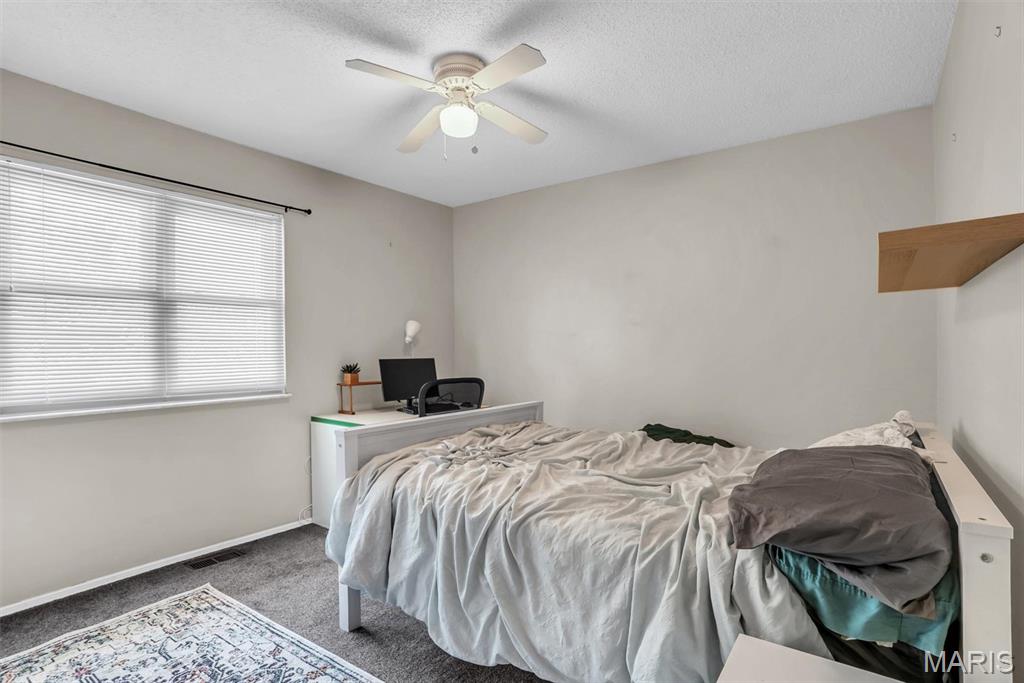21 Muir Street Property Photo 20