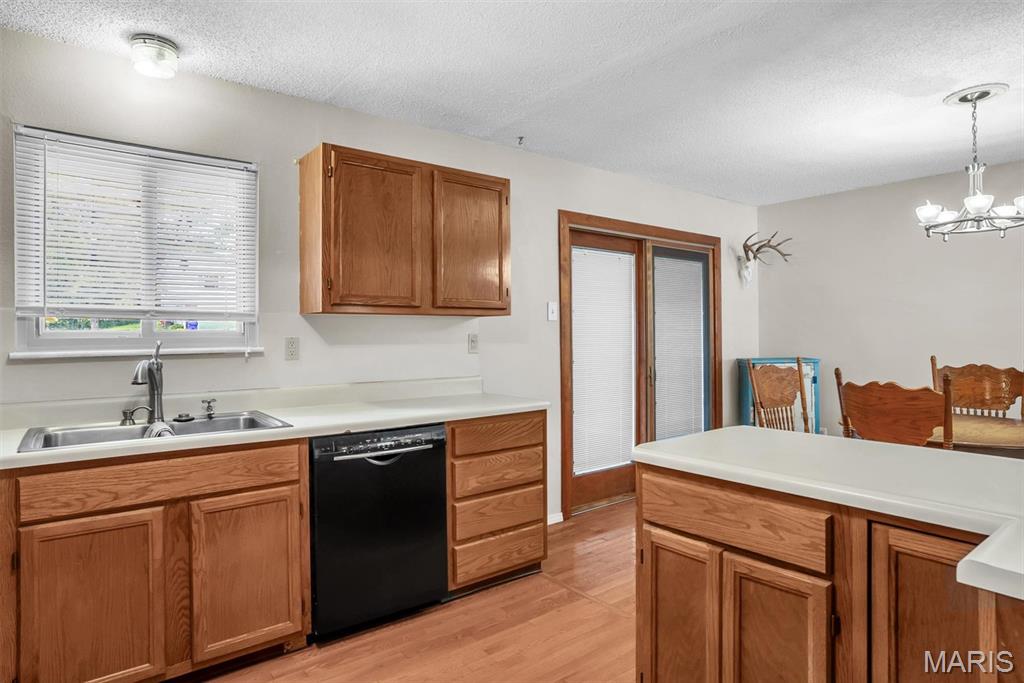 21 Muir Street Property Photo 32