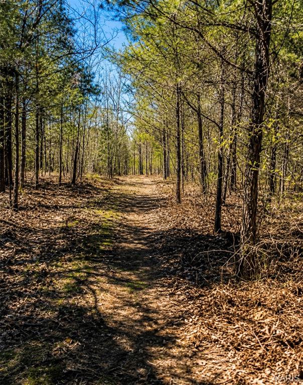 1 142-e Property Photo 4