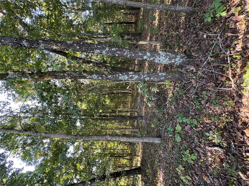 1 142-e Property Photo 8
