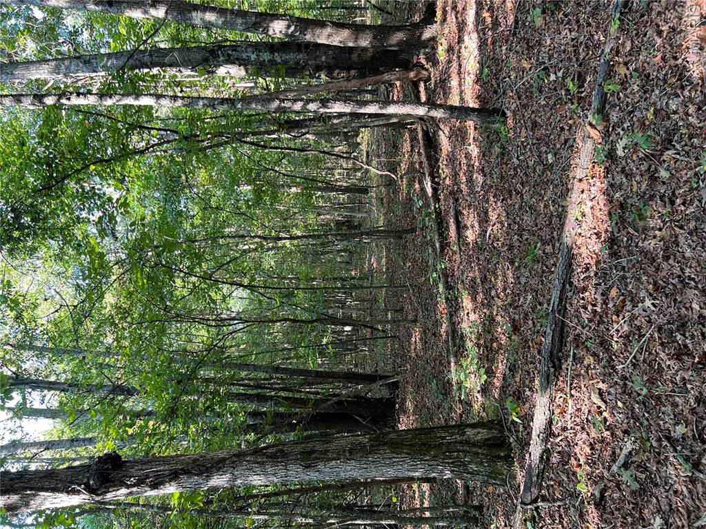 1 142-e Property Photo 11