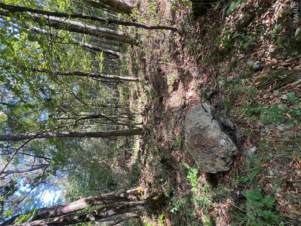 1 142-e Property Photo 22