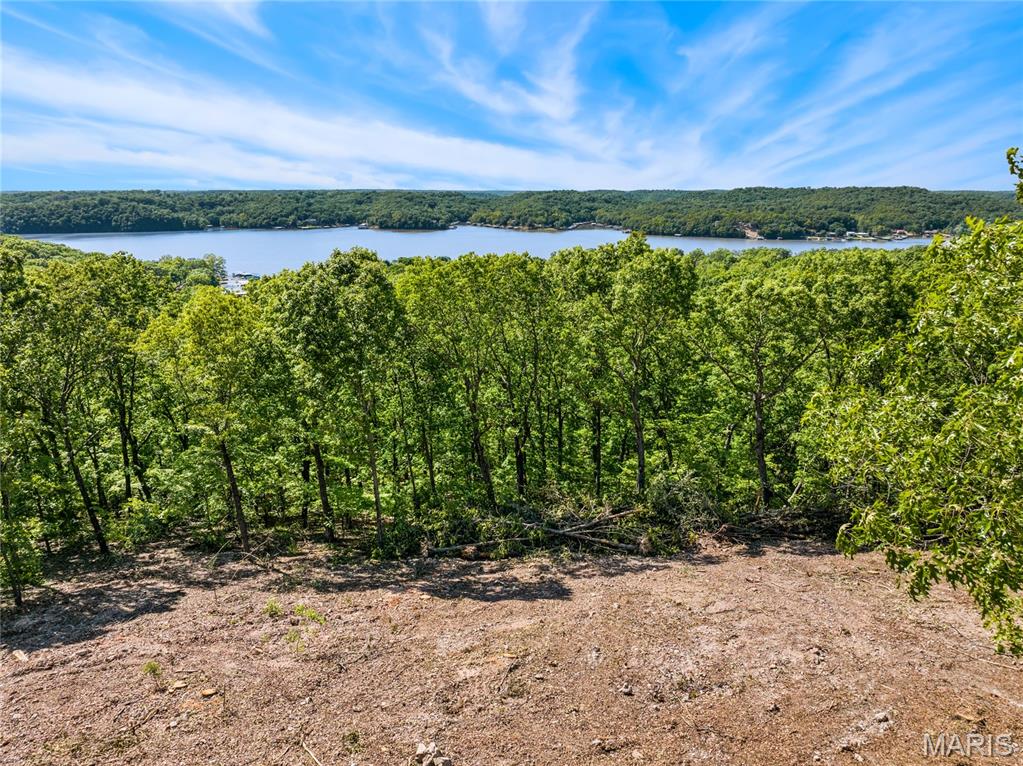 Tbd Wilson Bend Road Property Photo 2