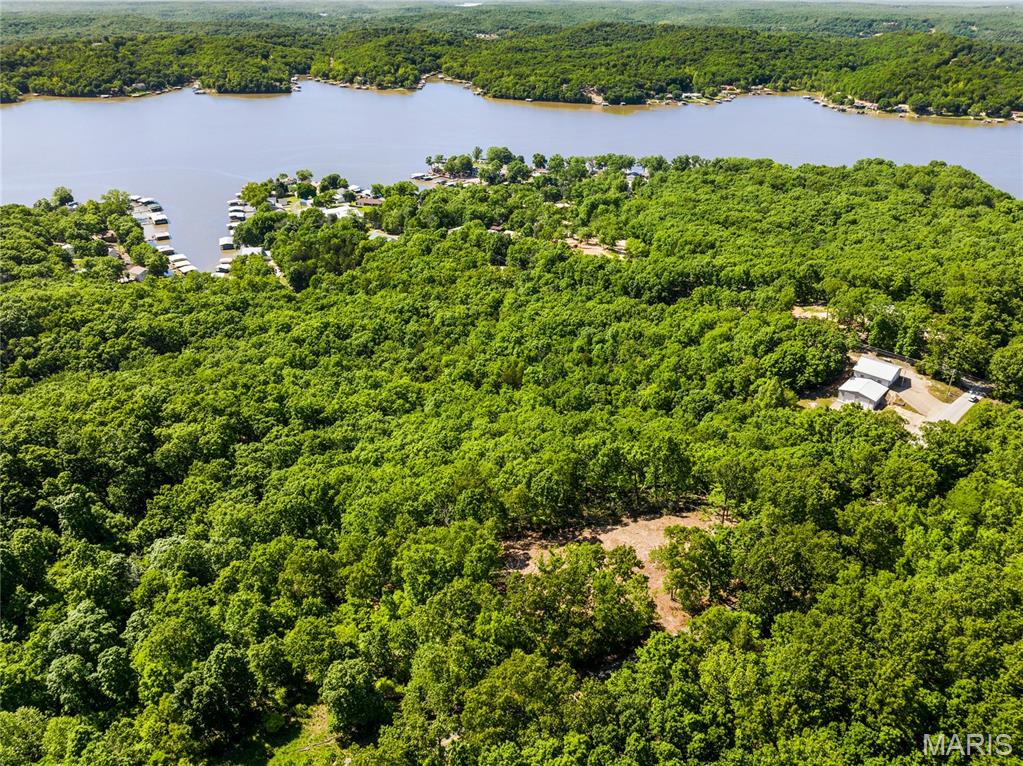 Tbd Wilson Bend Road Property Photo 4