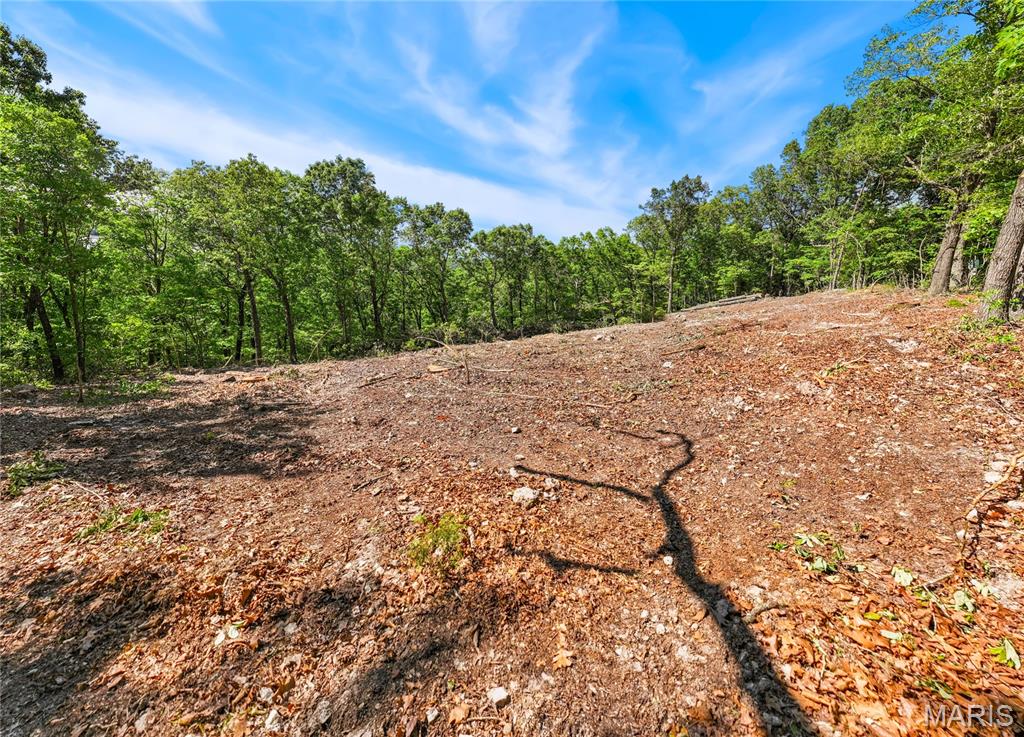 Tbd Wilson Bend Road Property Photo 6