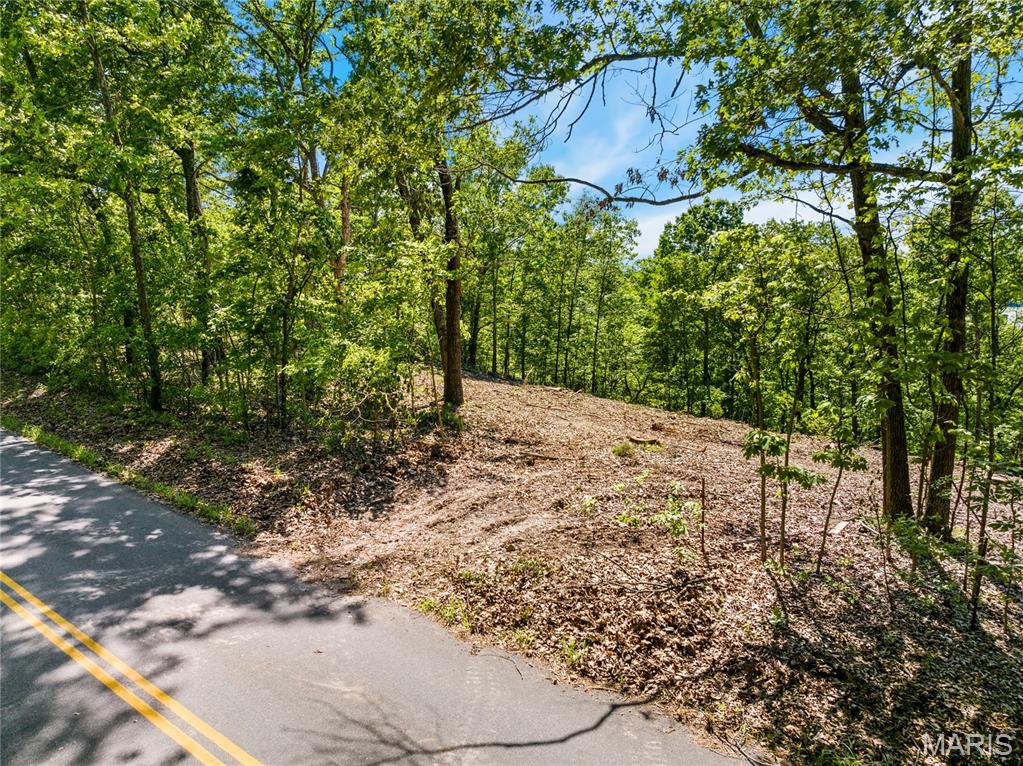 Tbd Wilson Bend Road Property Photo 8
