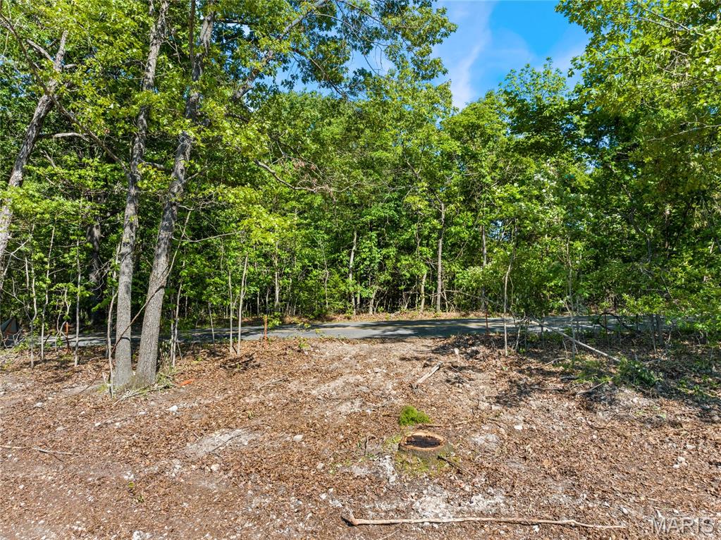 Tbd Wilson Bend Road Property Photo 9