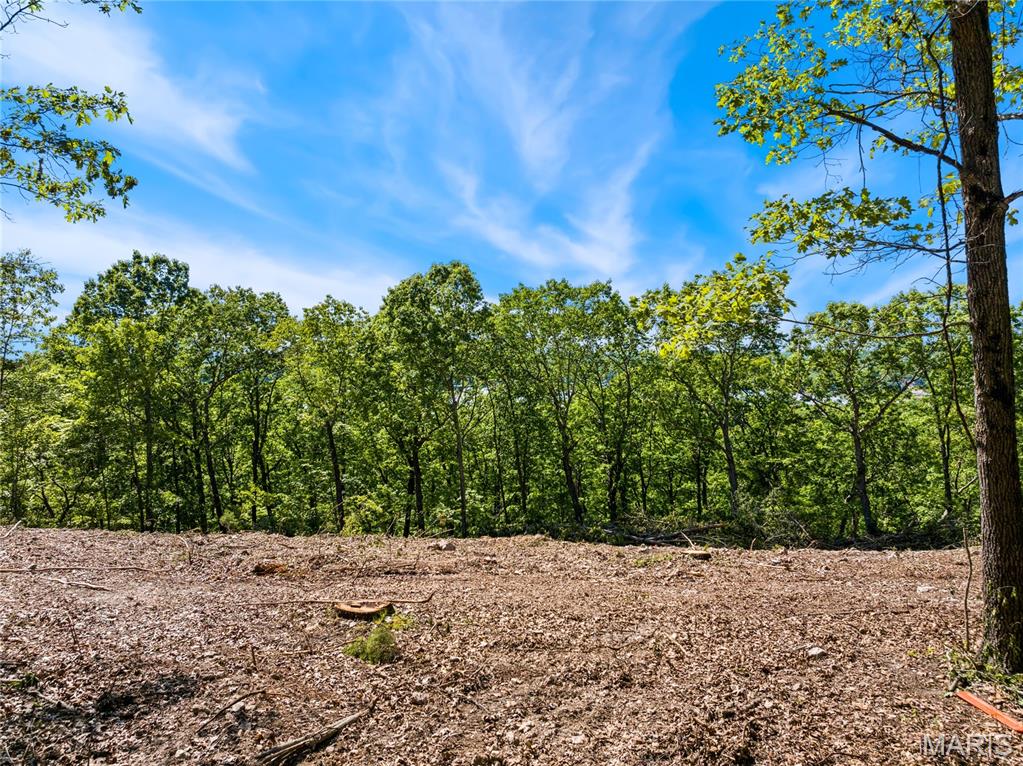 Tbd Wilson Bend Road Property Photo 10