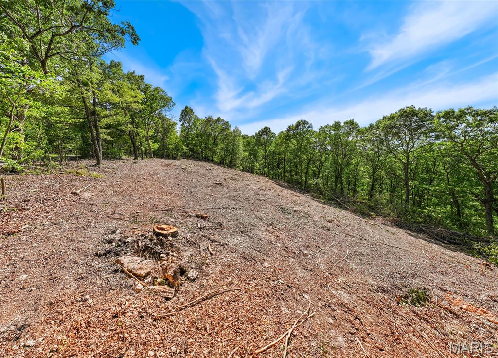 Tbd Wilson Bend Road Property Photo 11