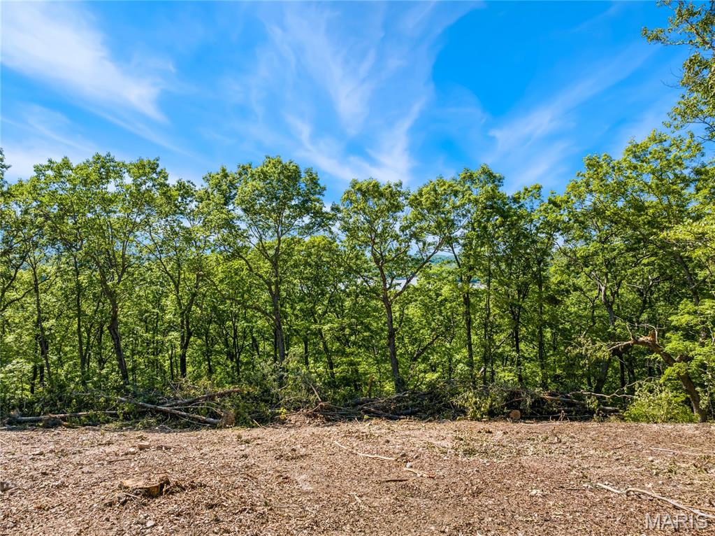 Tbd Wilson Bend Road Property Photo 12