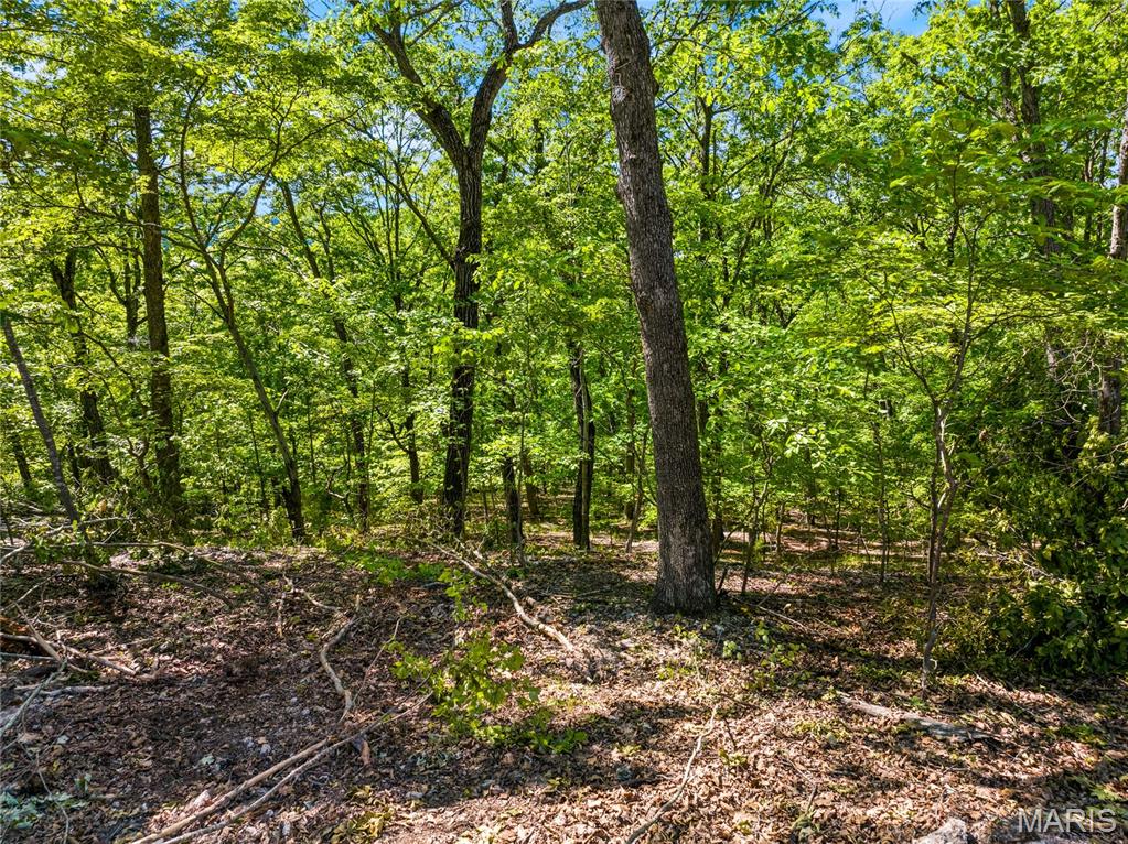 Tbd Wilson Bend Road Property Photo 13