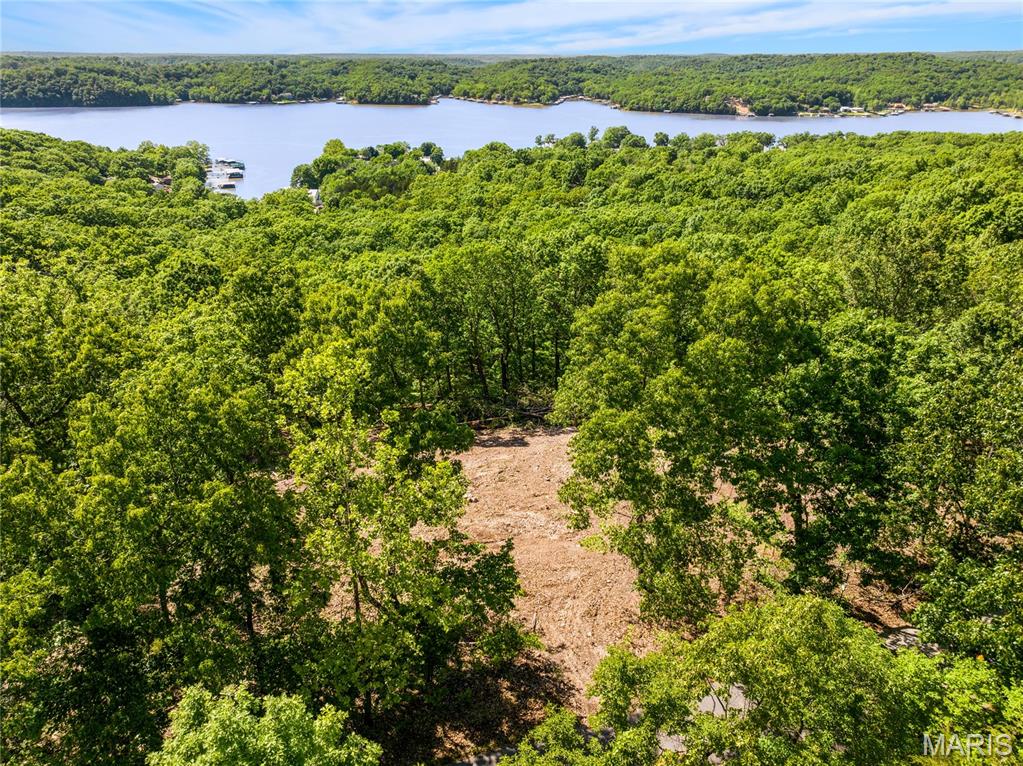Tbd Wilson Bend Road Property Photo 16