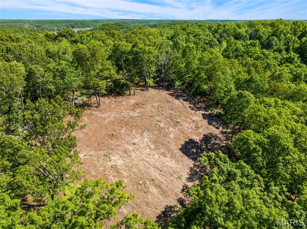 Tbd Wilson Bend Road Property Photo 17