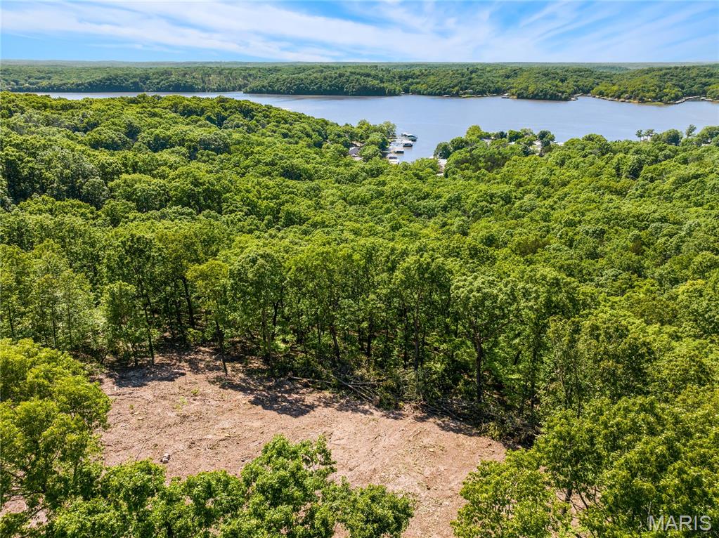 Tbd Wilson Bend Road Property Photo 18