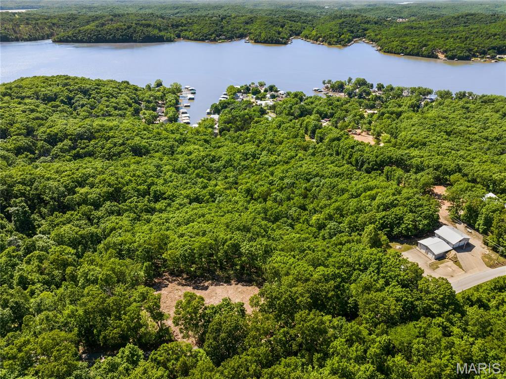 Tbd Wilson Bend Road Property Photo 19