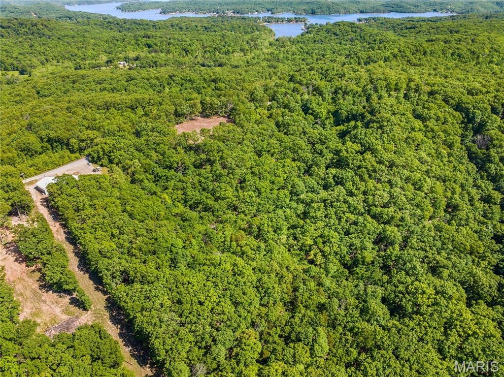Tbd Wilson Bend Road Property Photo 22