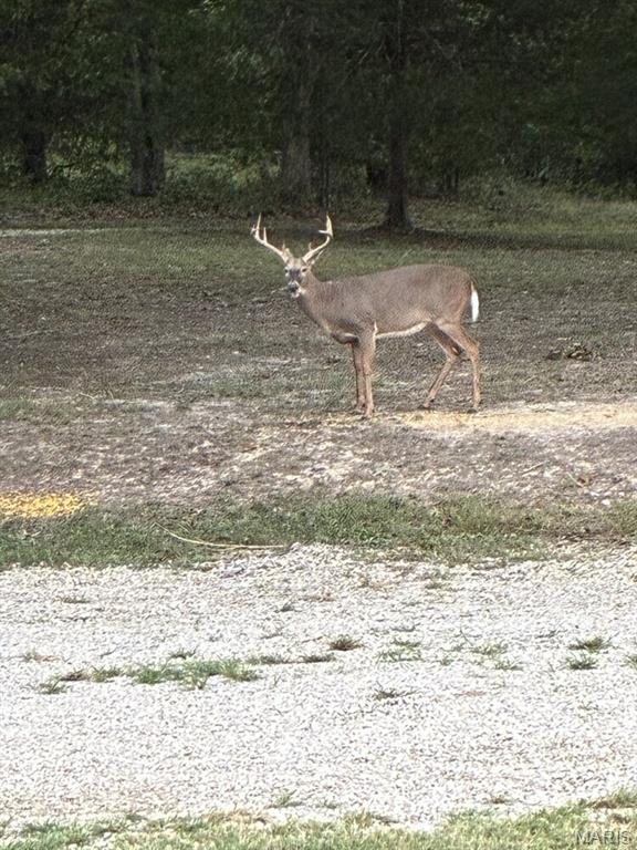 0 Turkey Foot Road Property Photo 1