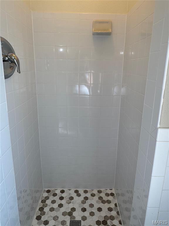 5257 Westminster Place Property Photo 53