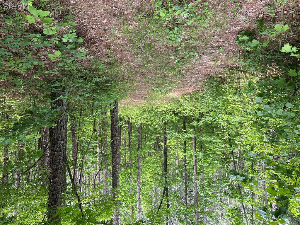 Private Road 9302 Property Photo 35