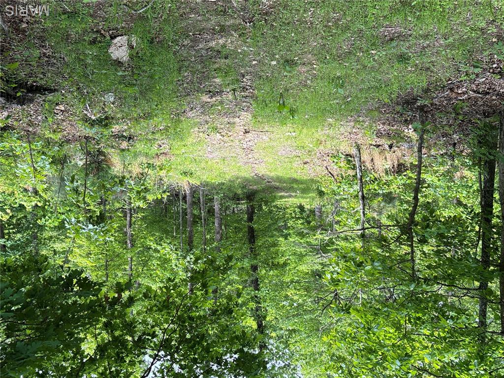 Private Road 9302 Property Photo 37