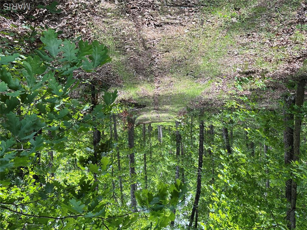 Private Road 9302 Property Photo 38