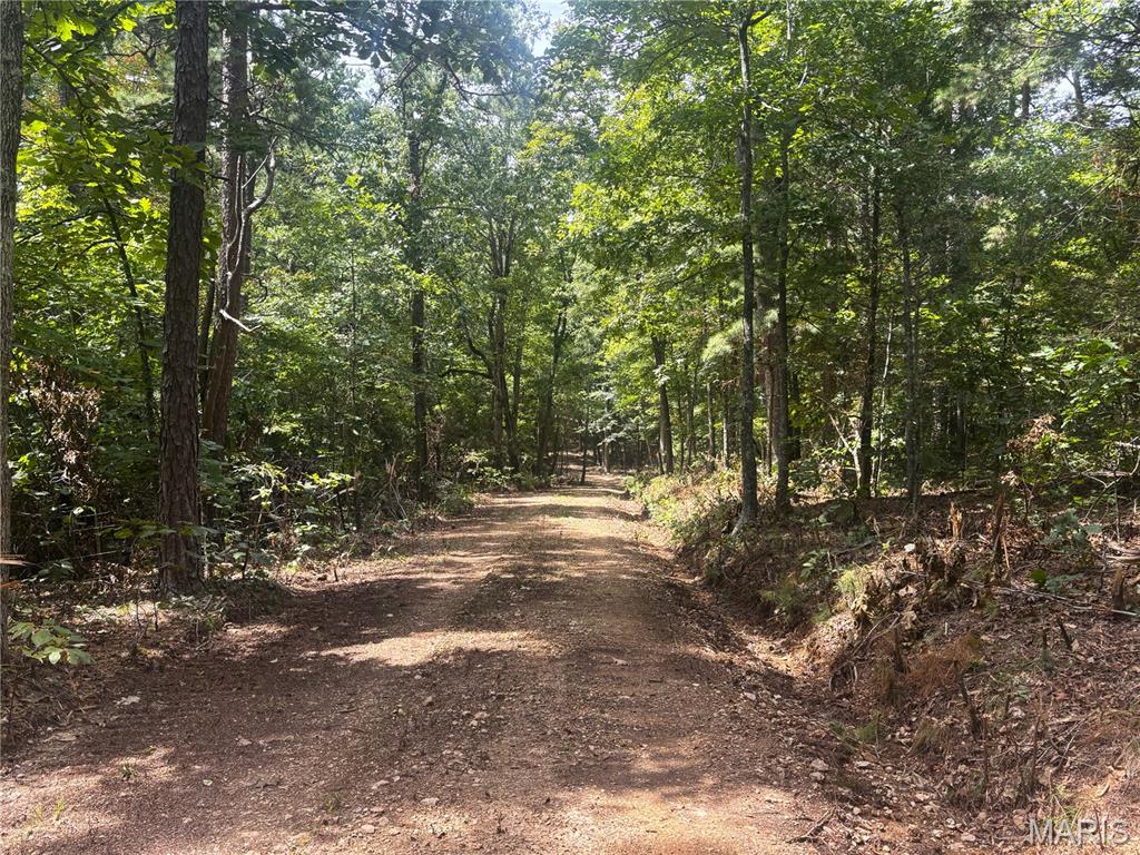 Private Road 9302 Property Photo 54