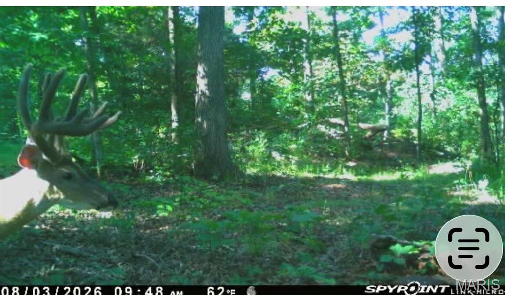 Private Road 9302 Property Photo 57