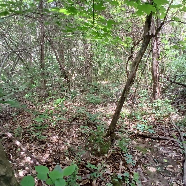 3536 3535 Washington Dr Property Photo 1